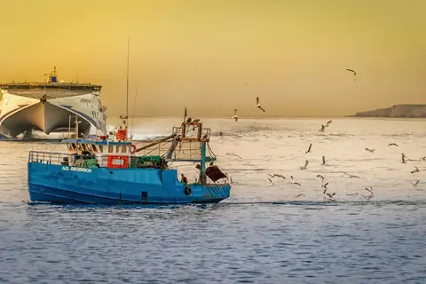 How Should You Pass a Fishing Boat? Safety Measures You Must Follow